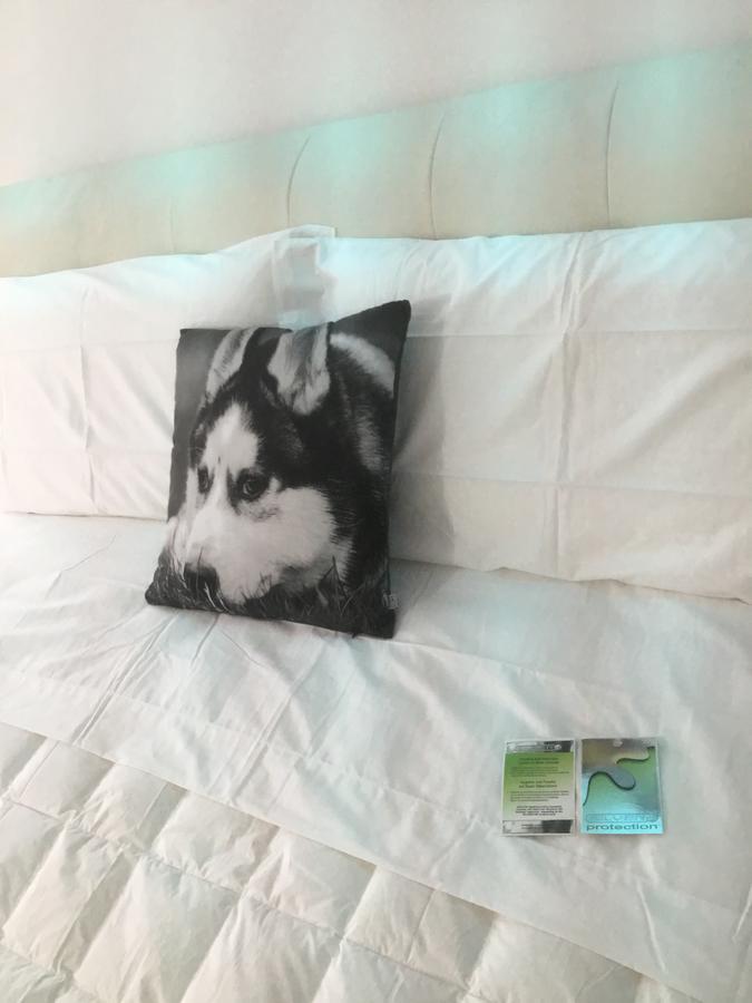 White Dream Suites Yaş Dış mekan fotoğraf